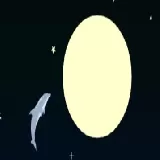 Dolphin Olympics